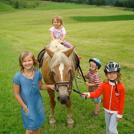 Feriegård Schwabhof *